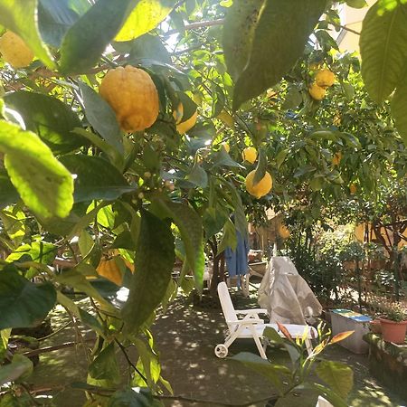 Il Giardino Nascosto Hotel Nápoly Kültér fotó