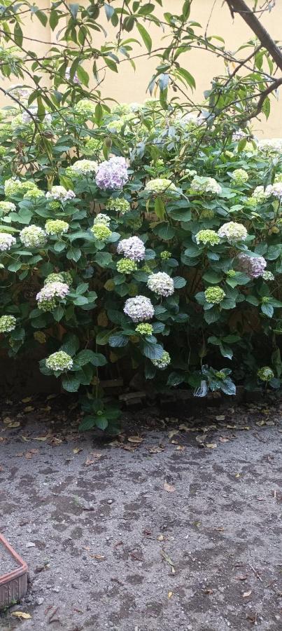 Il Giardino Nascosto Hotel Nápoly Kültér fotó
