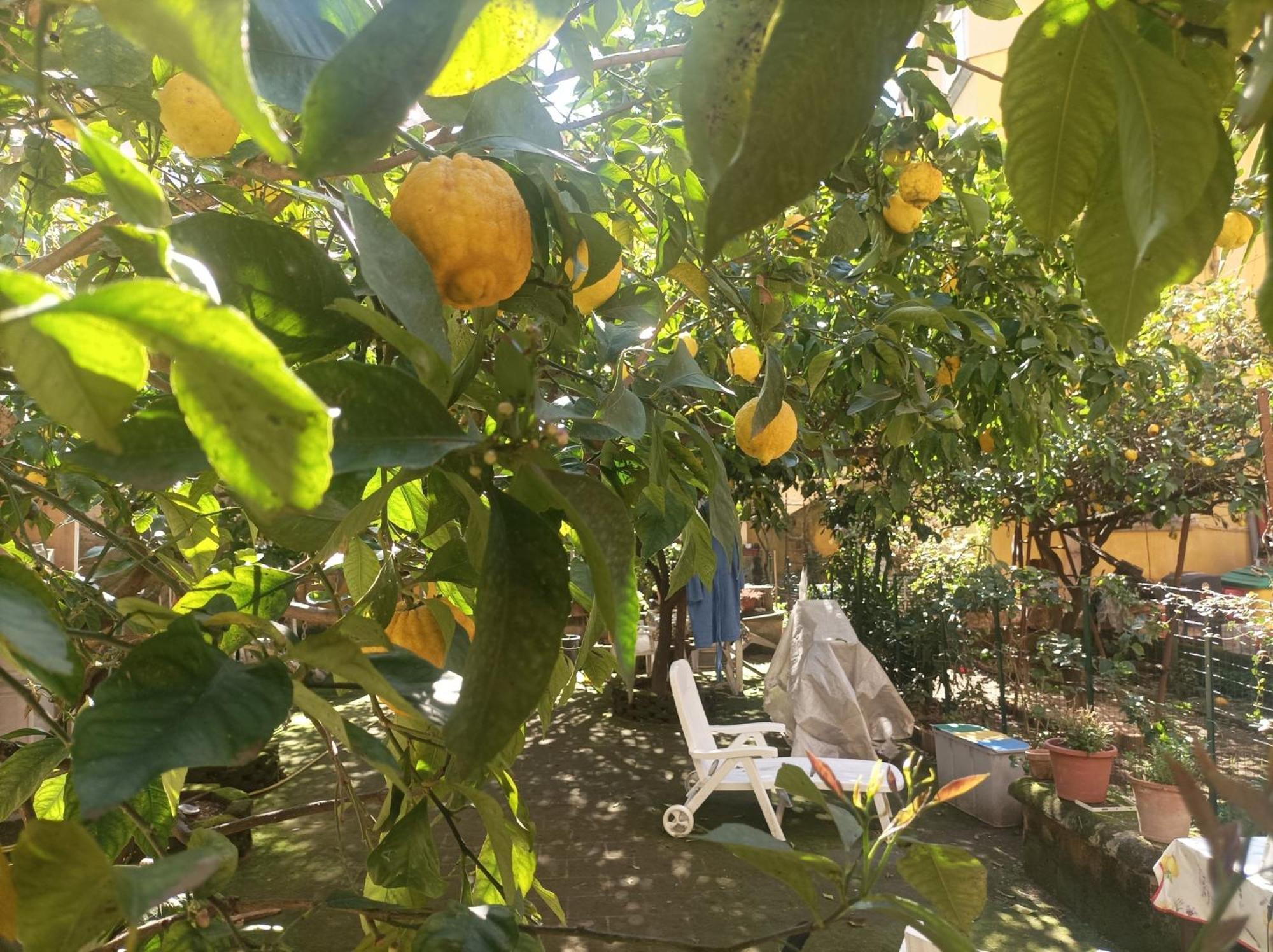 Il Giardino Nascosto Hotel Nápoly Kültér fotó