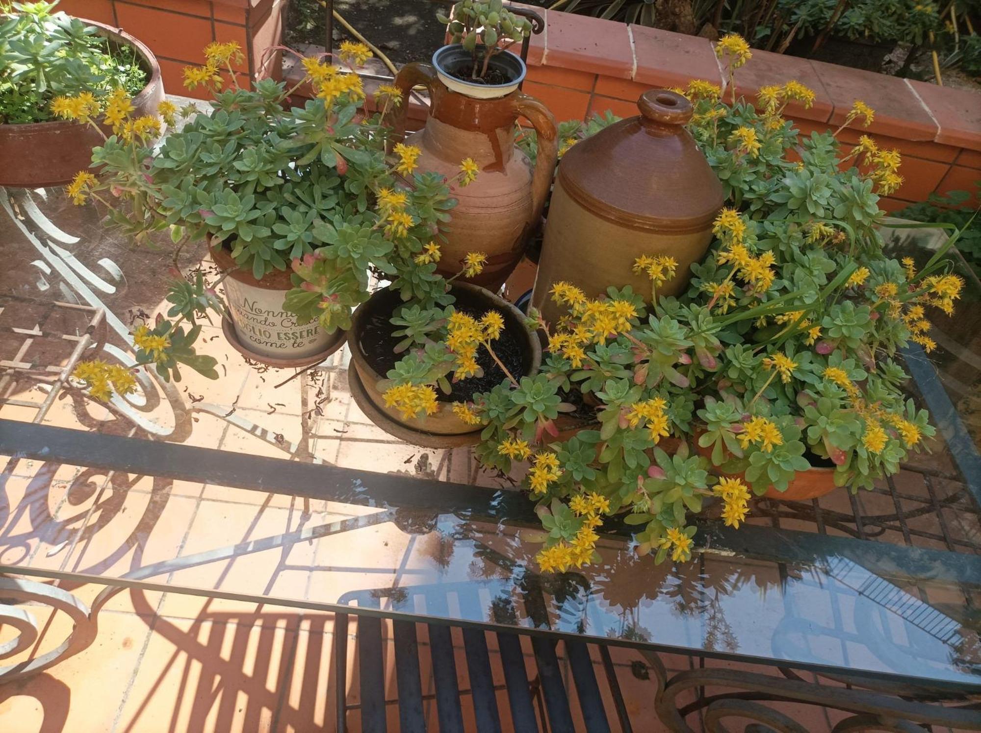 Il Giardino Nascosto Hotel Nápoly Kültér fotó