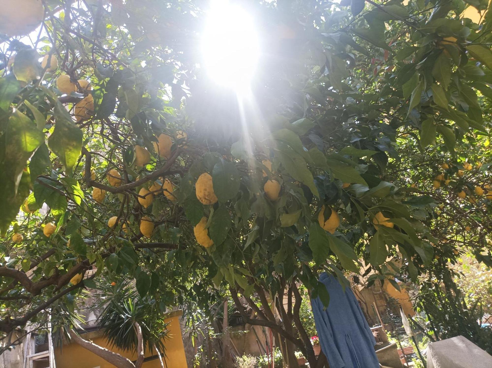 Il Giardino Nascosto Hotel Nápoly Kültér fotó